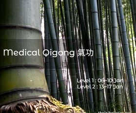 Medical Qi Gong cursus
